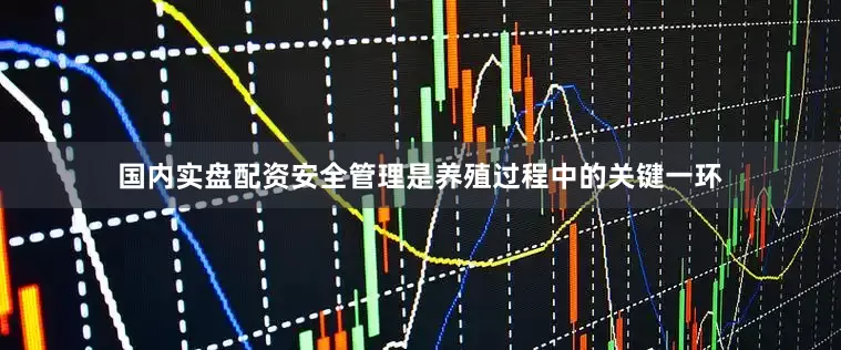 国内实盘配资安全管理是养殖过程中的关键一环